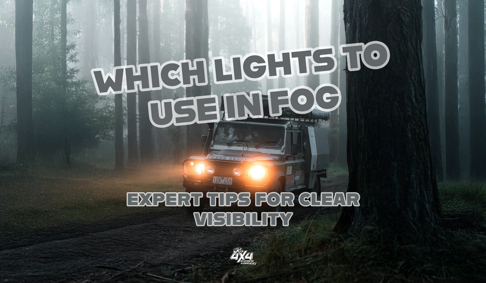 Which Lights to Use in Fog: Expert Tips for Clear Visibility in Poor Weather