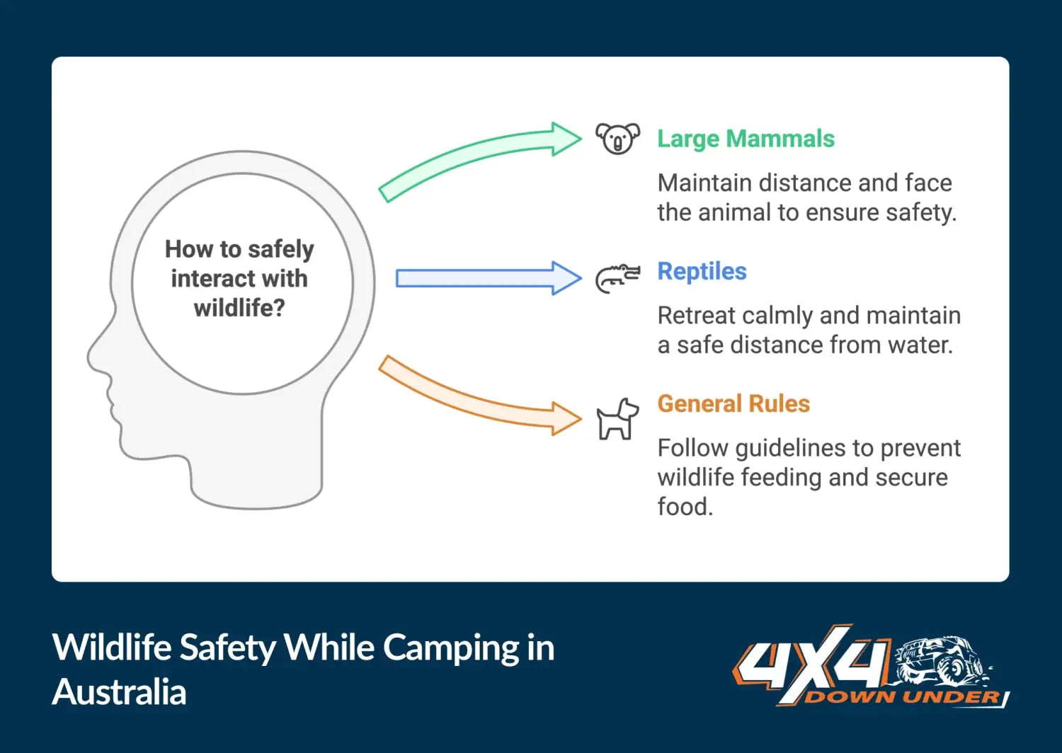 Camping in Australia - Essential Safety Tips & Wildlife Guide