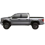 Bushwacker Forge Style Fender Flares for Ford F-150