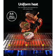 Stainless steel Grillz Portable LPG Gas BBQ with meat cooking over flames